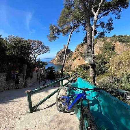 Apartment Climatise En Bord De